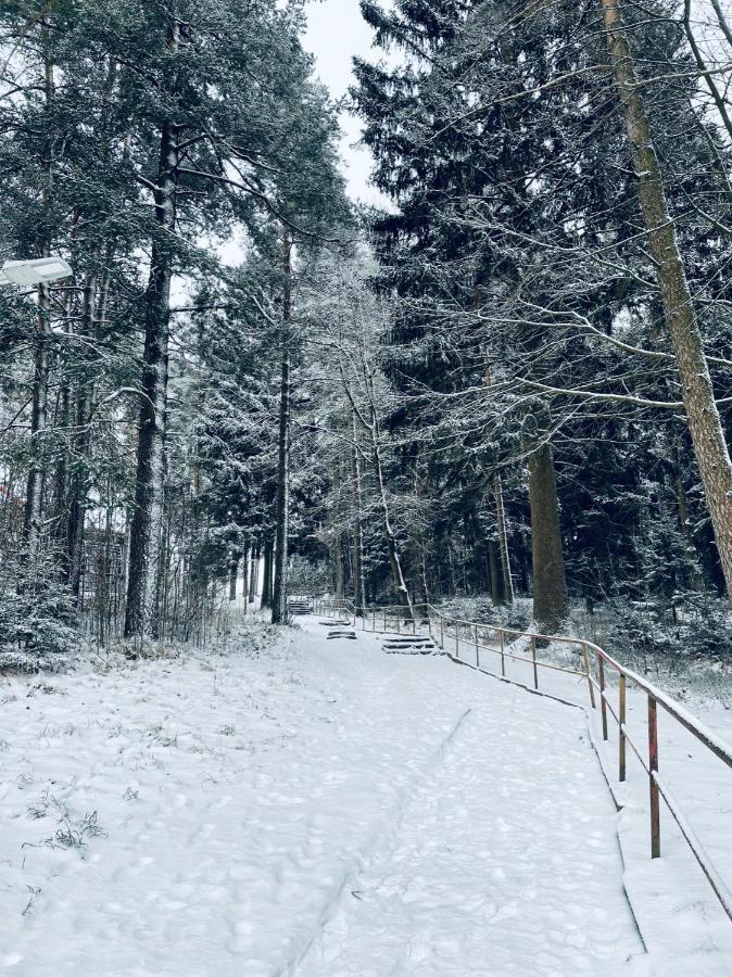 Apartman Galerie - Lipno Nad Vltavou Exteriör bild